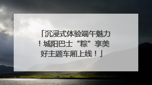 沉浸式体验端午魅力！城阳巴士“粽”享美好主题车厢上线！