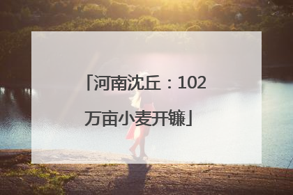 河南沈丘：102 万亩小麦开镰