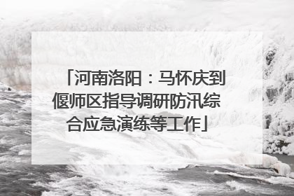 河南洛阳：马怀庆到偃师区指导调研防汛综合应急演练等工作