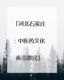 河北石家庄：中医药文化夜市惠民