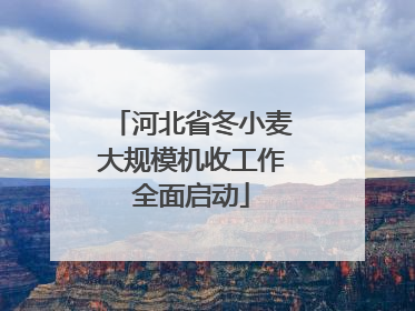 河北省冬小麦大规模机收工作全面启动