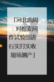 河北曲周：对棉麦间作试验田进行实打实收现场测产