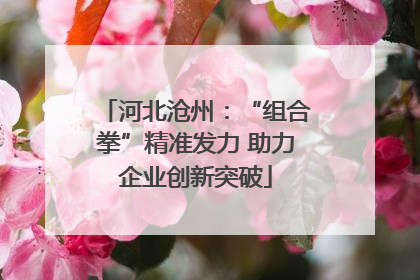 河北沧州：“组合拳”精准发力 助力企业创新突破