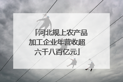 河北规上农产品加工企业年营收超六千八百亿元