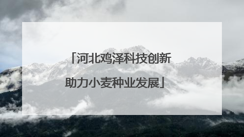 河北鸡泽科技创新助力小麦种业发展