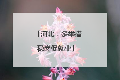 河北：多举措稳岗促就业