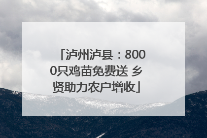 泸州泸县：8000只鸡苗免费送 乡贤助力农户增收