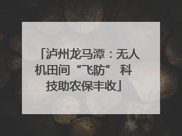 泸州龙马潭：无人机田间“飞防” 科技助农保丰收