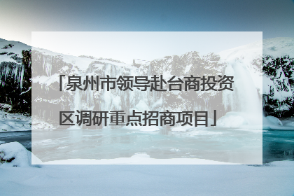 泉州市领导赴台商投资区调研重点招商项目