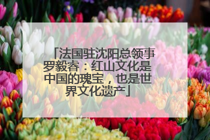 法国驻沈阳总领事罗毅睿：红山文化是中国的瑰宝，也是世界文化遗产