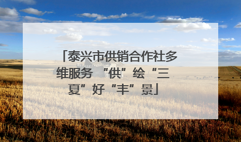 泰兴市供销合作社多维服务 “供”绘“三夏”好“丰”景