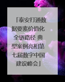 泰安打通数据要素价值化全链路径 典型案例亮相第七届数字中国建设峰会