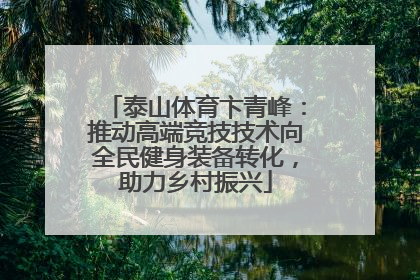 泰山体育卞青峰：推动高端竞技技术向全民健身装备转化，助力乡村振兴