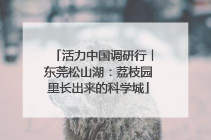 活力中国调研行丨东莞松山湖：荔枝园里长出来的科学城