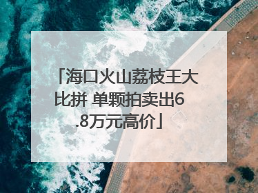 海口火山荔枝王大比拼 单颗拍卖出6.8万元高价