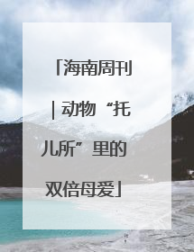 海南周刊｜动物“托儿所”里的双倍母爱
