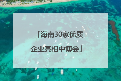 海南30家优质企业亮相中博会