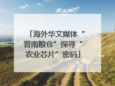 海外华文媒体“晋南粮仓”探寻“农业芯片”密码