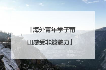 海外青年学子莆田感受非遗魅力