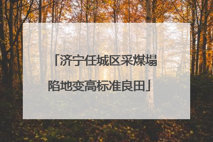 济宁任城区采煤塌陷地变高标准良田
