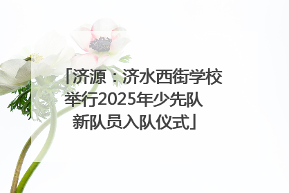 济源：济水西街学校举行2025年少先队新队员入队仪式
