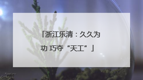 浙江乐清：久久为功 巧夺“天工”