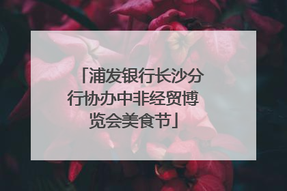浦发银行长沙分行协办中非经贸博览会美食节
