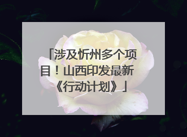 涉及忻州多个项目！山西印发最新《行动计划》