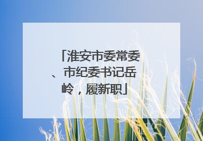 淮安市委常委、市纪委书记岳岭，履新职