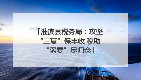 淮滨县税务局：攻坚“三夏”保丰收 税助“弱麦”尽归仓