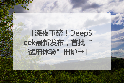 深夜重磅！DeepSeek最新发布，首批“试用体验”出炉→