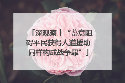 深观察丨“蓄意阻碍平民获得人道援助同样构成战争罪”