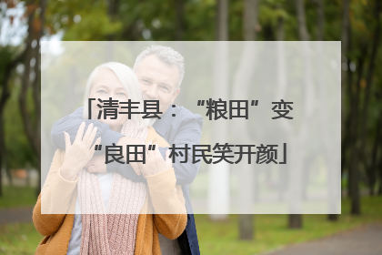 清丰县：“粮田”变“良田”村民笑开颜