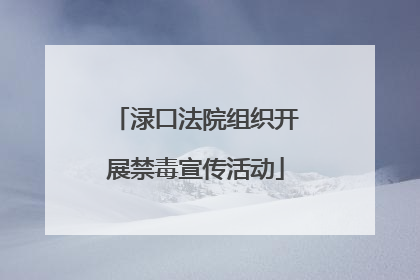 渌口法院组织开展禁毒宣传活动