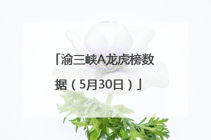 渝三峡A龙虎榜数据（5月30日）