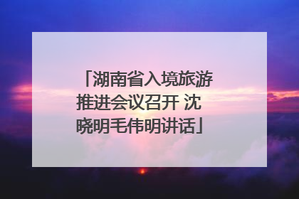 湖南省入境旅游推进会议召开 沈晓明毛伟明讲话