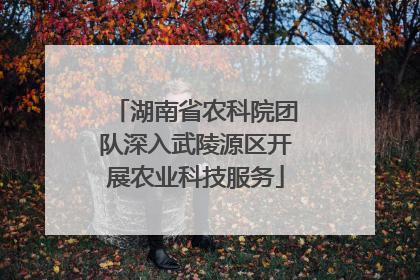 湖南省农科院团队深入武陵源区开展农业科技服务