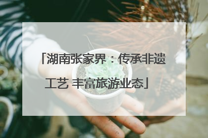 湖南张家界：传承非遗工艺 丰富旅游业态