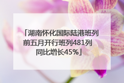 湖南怀化国际陆港班列前五月开行班列481列 同比增长45%
