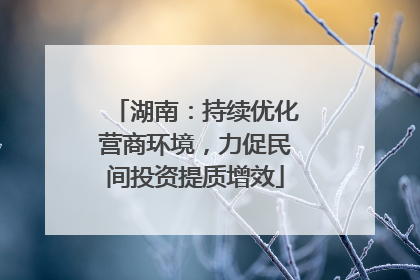 湖南：持续优化营商环境，力促民间投资提质增效