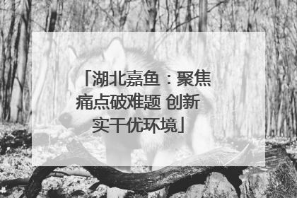 湖北嘉鱼：聚焦痛点破难题 创新实干优环境