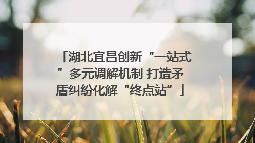 湖北宜昌创新“一站式”多元调解机制 打造矛盾纠纷化解“终点站”