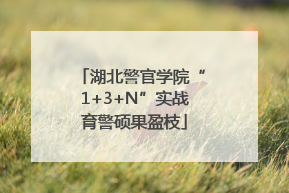 湖北警官学院“1+3+N”实战育警硕果盈枝