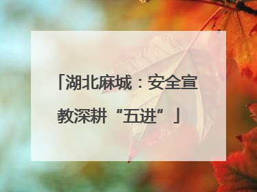 湖北麻城：安全宣教深耕“五进”
