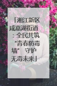 湘江新区咸嘉湖街道：全民共筑“青春防毒墙” 守护无毒未来