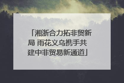 湘浙合力拓非贸新局 雨花义乌携手共建中非贸易新通道