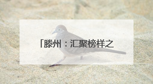 滕州：汇聚榜样之光 逐光砥砺前行
