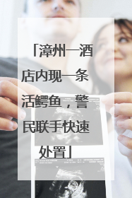 漳州一酒店内现一条活鳄鱼，警民联手快速处置