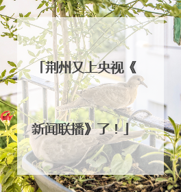荆州又上央视《新闻联播》了！