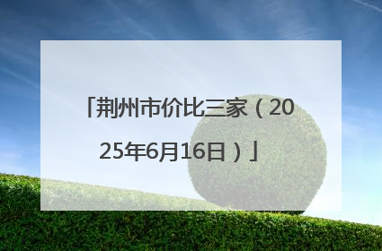 荆州市价比三家（2025年6月16日）